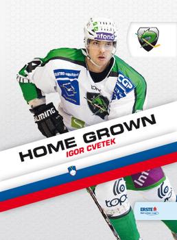 2010-11 Erste Bank Eishockey Liga - Home Grown #EBEL-HG05 Igor Cvetek Front