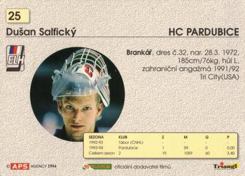 1994-95 APS Extraliga (Czech) #25 Dusan Salficky Back