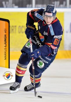2012-13 HockeyAllsvenskan #ALLS-085 Markus Ljungh Front