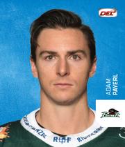 2018-19 Playercards Stickers (DEL) #027 Adam Payerl Front