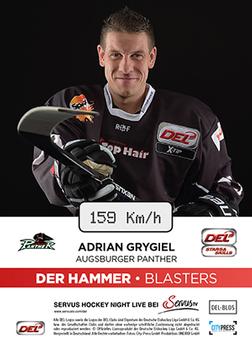 2015-16 Playercards Basic Serie 1 (DEL) - Der Hammer #DEL-BL05 Adrian Grygiel Back