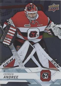 2018-19 Upper Deck CHL - Silver #287 Cedrick Andree Front