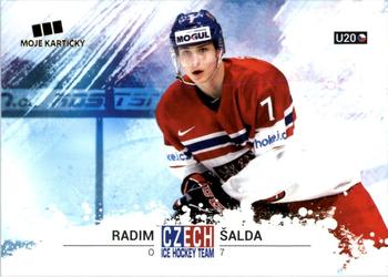 2017-18 Moje karticky Czech Ice Hockey Team #53 Radim Salda Front