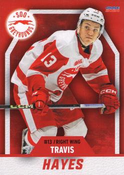 2023-24 Choice Sault Ste. Marie Greyhounds (OHL) #06 Travis Hayes Front