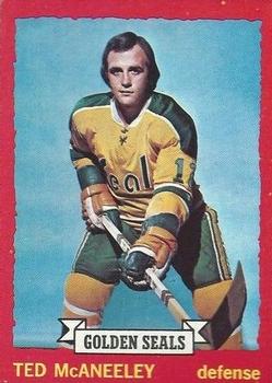 1973-74 O-Pee-Chee #37 Ted McAneeley Front