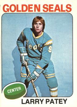 1975-76 O-Pee-Chee #137 Larry Patey Front
