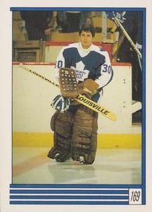 1989-90 O-Pee-Chee Stickers #169 Allan Bester  Front