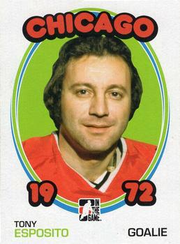 2009-10 In The Game 1972 The Year In Hockey - Blank Backs #60 Tony Esposito Front