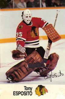 1988-89 Esso NHL All-Star Collection #NNO Tony Esposito Front