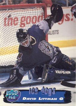 1995-96 Edge Ice #150 David Littman Front