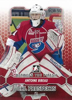 2012-13 In The Game Between The Pipes #46 Antoine Bibeau Front