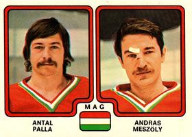 1979 Panini Hockey Stickers #270 Antal Palla / Andras Meszoly Front