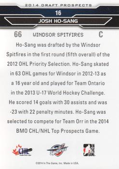 2014 In The Game Draft Prospects #16 Josh Ho-Sang Back