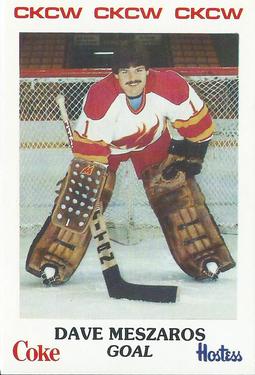 1984-85 Moncton Golden Flames (AHL) Police #21 Dave Meszaros Front