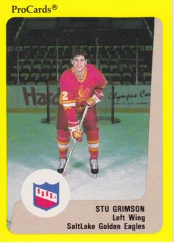 1989-90 ProCards IHL #199 Stu Grimson Front