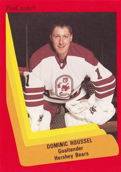 1990-91 ProCards AHL/IHL #31 Dominic Roussel Front