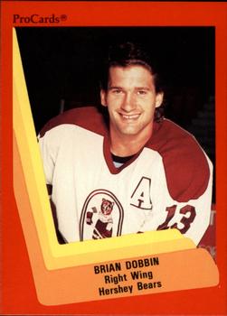 1990-91 ProCards AHL/IHL #33 Brian Dobbin Front