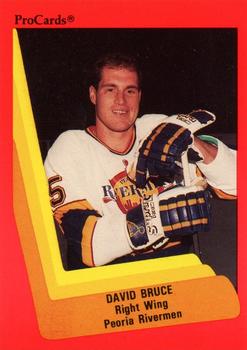 1990-91 ProCards AHL/IHL #86 David Bruce Front