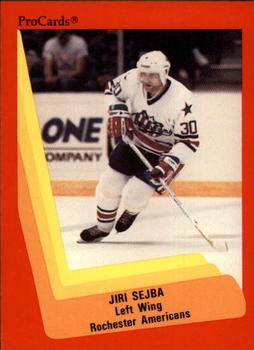 1990-91 ProCards AHL/IHL #286 Jiri Sejba Front