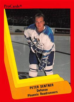 1990-91 ProCards AHL/IHL #361 Peter Sentner Front