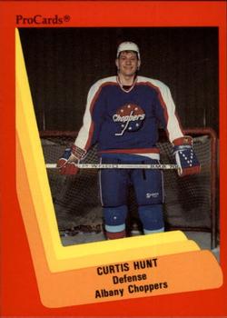 1990-91 ProCards AHL/IHL #516 Curtis Hunt Front