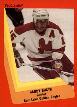 1990-91 ProCards AHL/IHL #608 Randy Bucyk Front