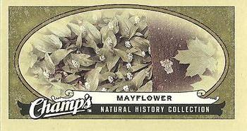 2009-10 Upper Deck Champ's #493 Mayflower Front
