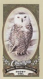 2009-10 Upper Deck Champ's #492 Snowy Owl Front
