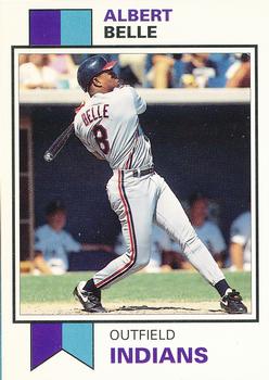 1993 SCD Sports Card Pocket Price Guide #28 Albert Belle Front