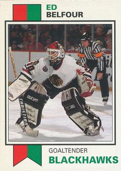1993 SCD Sports Card Pocket Price Guide #60 Ed Belfour Front