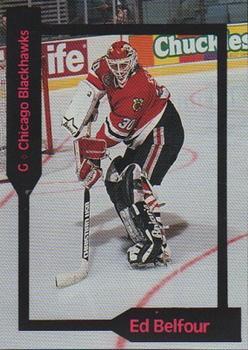 1991 SCD Sports Card Pocket Price Guide FB/BK/HK Collector #41 Ed Belfour Front
