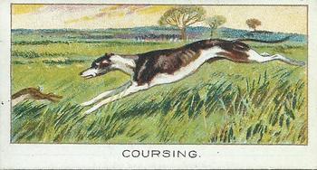 1925 Sports Records #22 Coursing Front