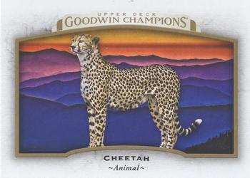 2017 Upper Deck Goodwin Champions #75 Cheetah Front