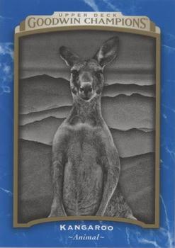 2017 Upper Deck Goodwin Champions - Royal Blue #115 Kangaroo Front
