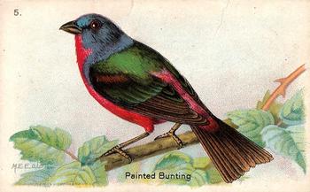 1931 Church & Dwight Useful Birds of America Sixth Series (J9-2) #5 Painted Bunting Front