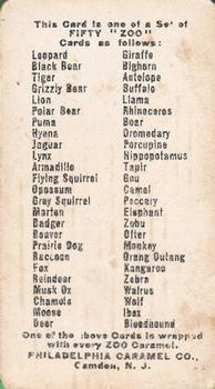 1909 Philadelphia Caramel Zoo (E28) #NNO Marten Back