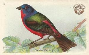 1922 Church & Dwight Useful Birds of America Third Series (J7) #3 Painted Bunting Front