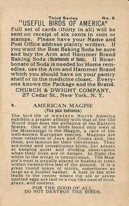 1922 Church & Dwight Useful Birds of America Third Series (J7) #6 American Magpie Back