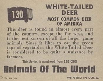 1951 Topps Animals of the World (R714-1) #130 White-Tailed Deer Back