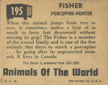 1951 Topps Animals of the World (R714-1) #195 Fisher Back
