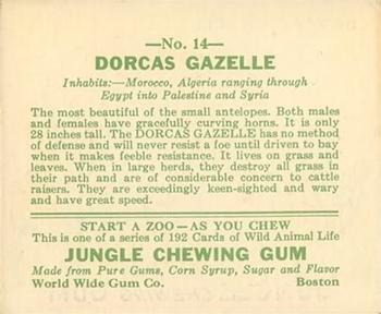 1933 Jungle Chewing Gum (R78) #14 Dorcas Gazelle Back
