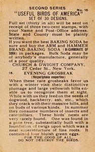 1918 Church & Dwight Useful Birds of America Second Series (J6) #15 Evening Grosbeak Back