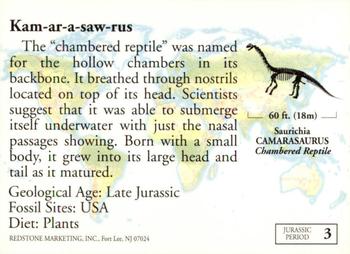 1993 Redstone Dinosaurs Mesozoic Era #3 Camarasaurus Back