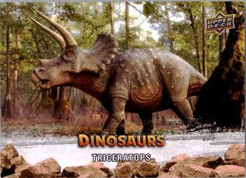 2015 Upper Deck Dinosaurs #10 Triceratops Front