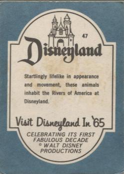 1965 Donruss Disneyland (Blue Back) #47 Startlingly Lifelike in Appearance and Movement, These Animals Inhabit the Rivers of America at Disneyland Back