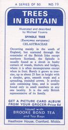 1966 Brooke Bond Trees In Britain #19 Spindle Tree Back