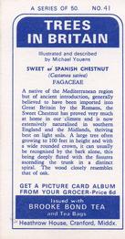 1966 Brooke Bond Trees In Britain #41 Sweet or Spanish Chestnut Back