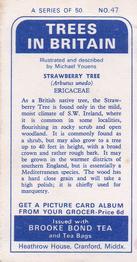 1966 Brooke Bond Trees In Britain #47 Strawberry Tree Back