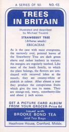 1966 Brooke Bond Trees In Britain #48 Strawberry Tree Back