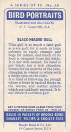 1957 Brooke Bond Bird Portraits  #49 Black-Headed Gull Back